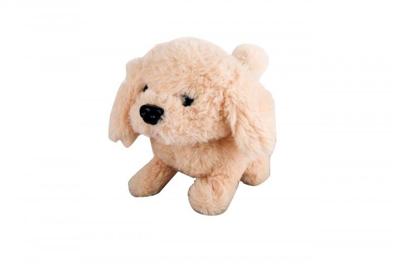 https://www.andreashop.sk/files/kat_img/01.jpg_OID_QOZ5000901.jpg