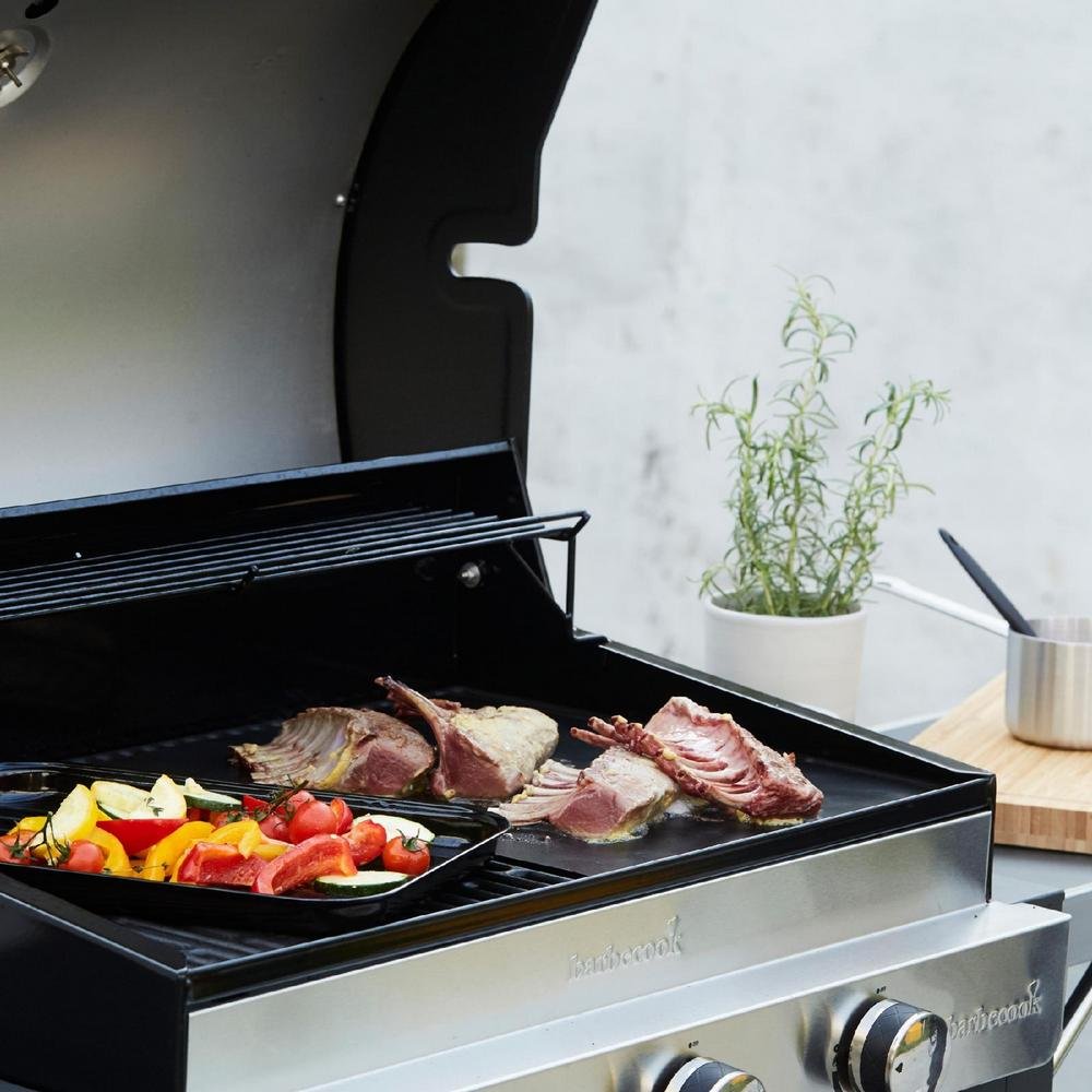 BARBECOOK BC-GAS-2003 PLYNOVY GRIL SPRING 3212 https://www.andreashop.sk/files/kat_img/6.jpg_OID_LE4L000901.jpg